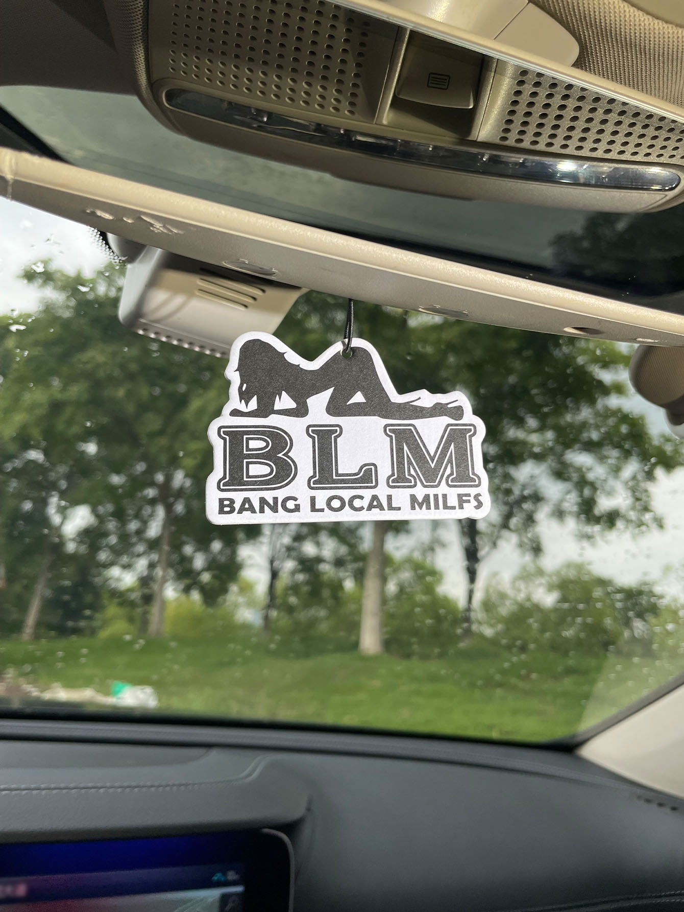 Blm Bang Local Milf/Fresh Frag – обзор и цена Home Fragrance Use