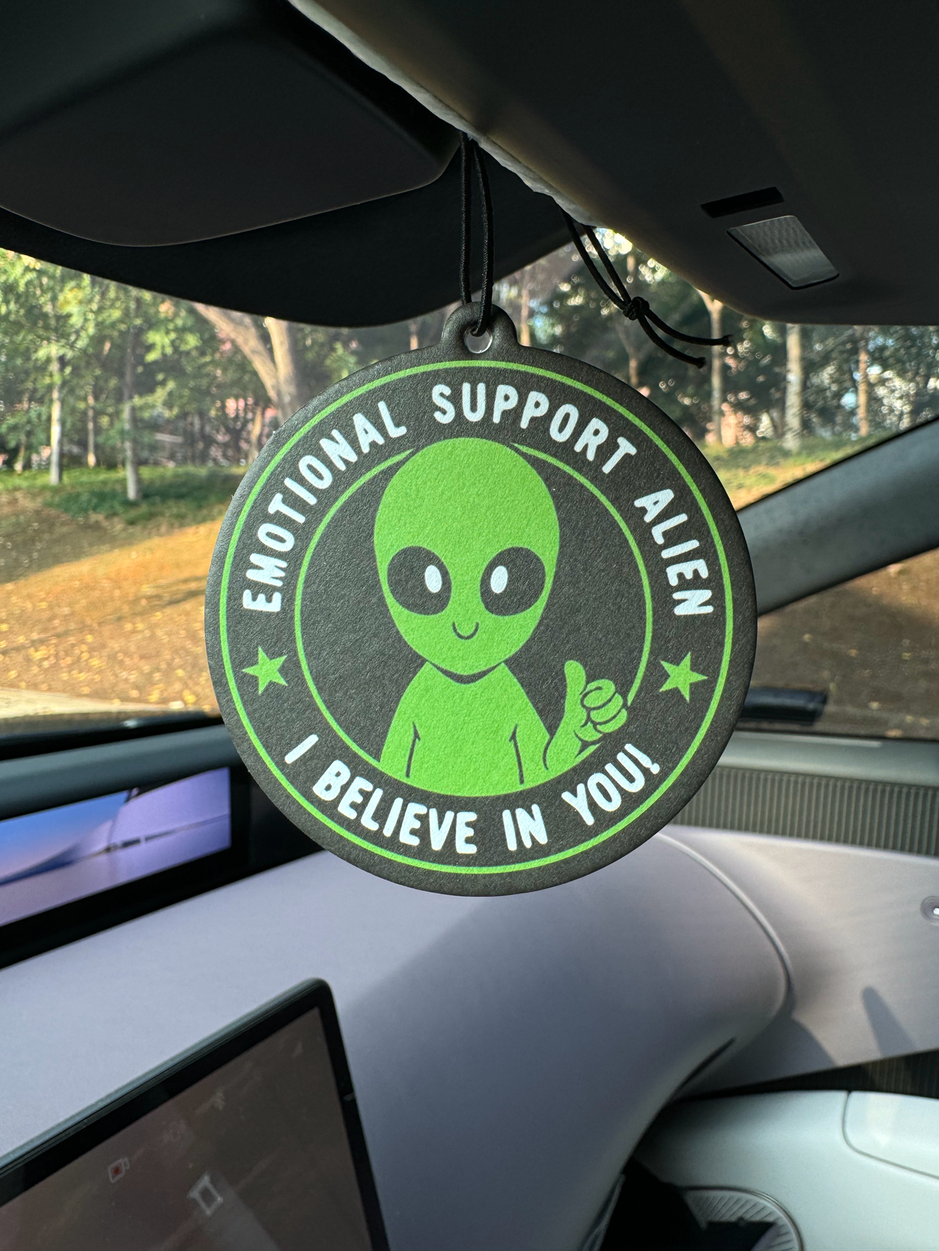 Emotional Support Alien Alien  – обзор и цена Home Fragrance Use