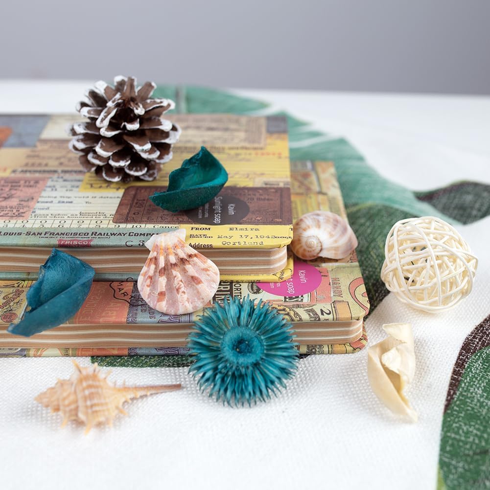 Sea Shell Potpourri Bag Ocean  – обзор и цена Home Fragrance Ocean Breeze
